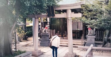 Media 8300_rental family_tobiki inari shrine_0.jpg